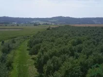 Prodej sadu/vinice, Vanovice, 5319 m2