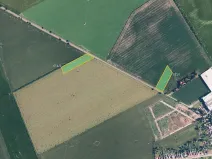 Prodej pole, Olšany u Prostějova, 4462 m2