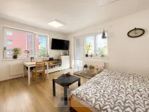 Pronájem bytu 1+kk, Slavkov u Brna, 31 m2