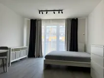 Pronájem bytu 1+kk, Praha - Vysočany, Gerstelova, 36 m2