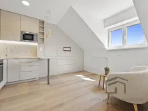Pronájem bytu 2+kk, Praha - Nusle, U křížku, 36 m2