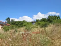 Prodej pozemku pro bydlení, Dyje, 2679 m2