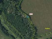 Dražba lesa, Břežany, 50 m2