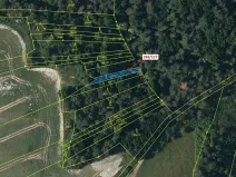 Dražba lesa, Břežany, 186 m2