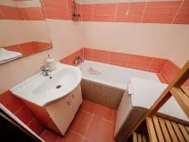 Pronájem bytu 1+1, Ostrava, Sládkova, 44 m2