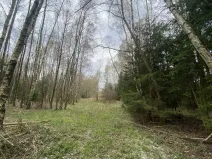 Prodej pozemku, Volfířov - Brandlín, 5958 m2