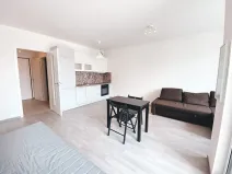 Pronájem bytu 1+kk, Praha - Žižkov, Olgy Havlové, 45 m2