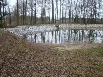 Pronájem rybníku, Třebíč, 4209 m2
