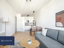 Pronájem bytu 2+kk, Praha - Žižkov, Budovcova, 45 m2