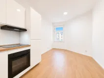 Prodej bytu 2+kk, Praha - Žižkov, Hartigova, 39 m2