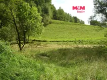 Prodej louky, Janův Důl, 2749 m2