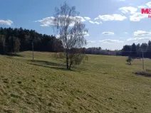 Prodej louky, Janův Důl, 2749 m2