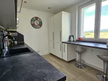 Prodej atypického bytu, Otovice, K Panelárně, 162 m2
