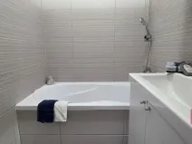 Prodej bytu 2+1, Brno, Souběžná, 55 m2