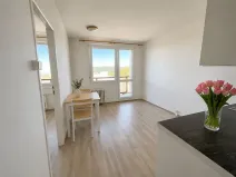 Pronájem bytu 1+1, Litvínov, Valdštejnská, 37 m2