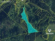 Prodej podílu lesa, Poniklá, 3846 m2