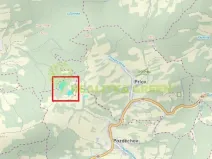 Prodej lesa, Pozděchov, 36934 m2