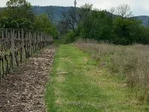 Prodej pozemku pro bydlení, Dolní Věstonice, 834 m2