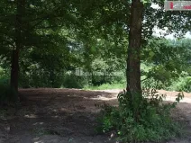 Prodej zahrady, Mukařov, 1560 m2
