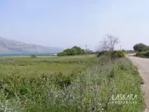 Prodej komerčního pozemku, Palliki, Řecko, 10197 m2