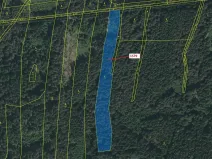 Dražba lesa, Nová Bystřice, 8581 m2