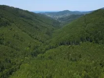 Prodej lesa, Nýdek, 207244 m2