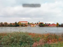 Prodej lesa, Velký Bor, 16139 m2