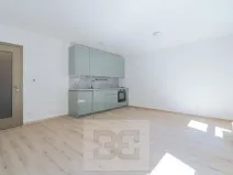 Pronájem bytu 1+kk, Liberec, Vítězná, 37 m2