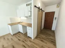 Pronájem bytu 1+kk, Chlumec, Zákoutí, 19 m2