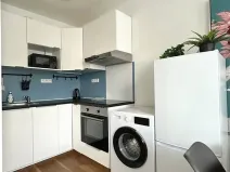 Pronájem bytu 2+kk, Praha - Vinohrady, Perucká, 36 m2