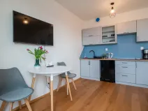 Pronájem bytu 1+kk, Praha - Vinohrady, Perucká, 27 m2