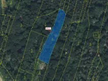 Dražba lesa, Dobříkov, 2332 m2