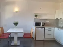 Pronájem bytu 1+kk, Brno, Stará, 46 m2