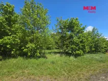 Prodej pozemku pro bydlení, Bor - Boječnice, 1093 m2