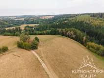 Prodej komerčního pozemku, Pertoltice, 51001 m2