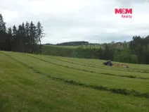 Prodej louky, Vysoká Srbská, 26000 m2