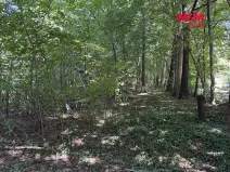 Prodej komerčního pozemku, Řepiště, 3402 m2