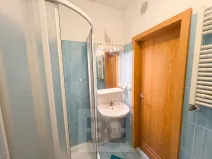 Pronájem bytu 1+kk, České Budějovice, Lipenská, 33 m2