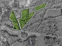 Prodej podílu pozemku pro bydlení, Zlatá Olešnice, 27729 m2