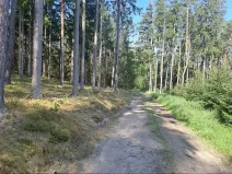 Prodej pozemku, Mirotice, 5629 m2