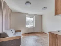Pronájem bytu 1+kk, Mariánské Lázně, třída Vítězství, 22 m2