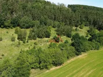 Prodej louky, Neveklov, 12084 m2