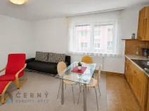 Pronájem bytu 1+kk, Liberec, Boženy Němcové, 28 m2