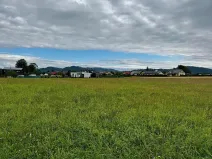 Prodej pozemku pro bydlení, Kozlovice, 4354 m2