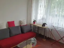 Pronájem bytu 1+kk, Ústí nad Labem, Hoření, 28 m2