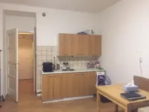 Pronájem bytu 1+kk, Praha - Podolí, Na dolinách, 30 m2