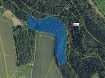 Dražba lesa, Zářecká Lhota, 20728 m2
