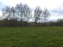 Dražba louky, Staré Město, 10063 m2