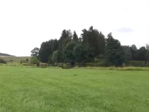 Dražba pozemku, Kocelovice, 5241 m2