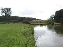 Dražba pozemku, Kocelovice, 5241 m2